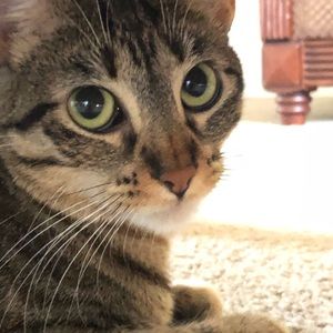 Meet your Posher, Blanca